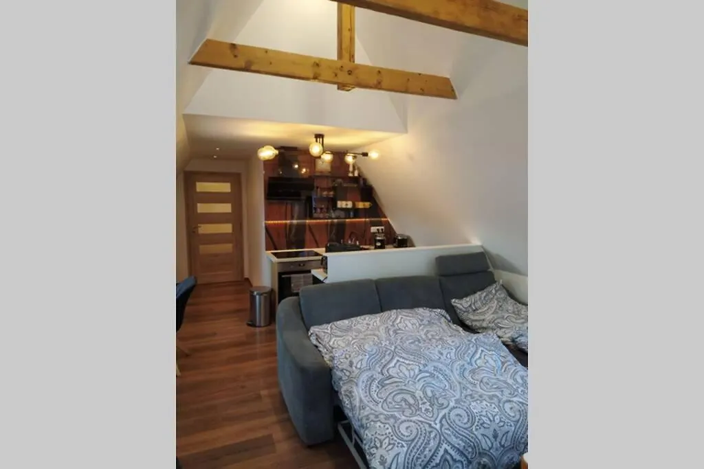 Apartment Apartman Atelier Vary V Nove Zrekonstruovanem Dome Karlovy Vary