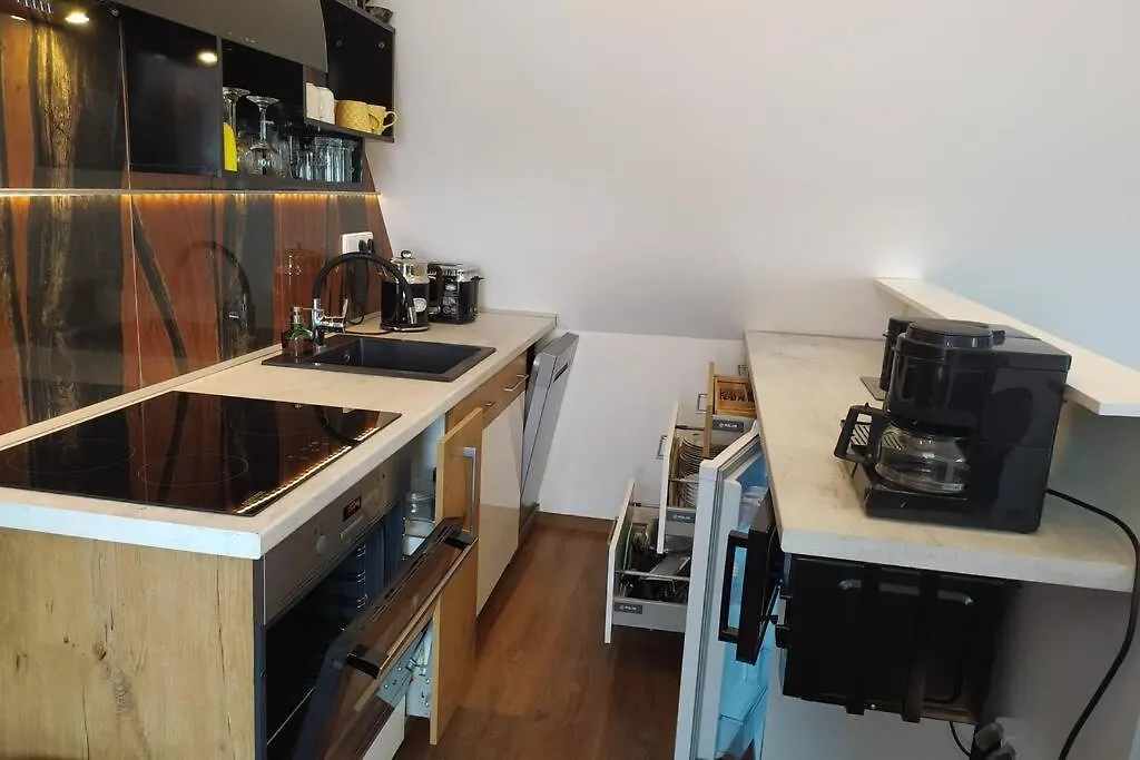 Apartman Atelier Vary V Nove Zrekonstruovanem Dome Karlovy Vary 0*,