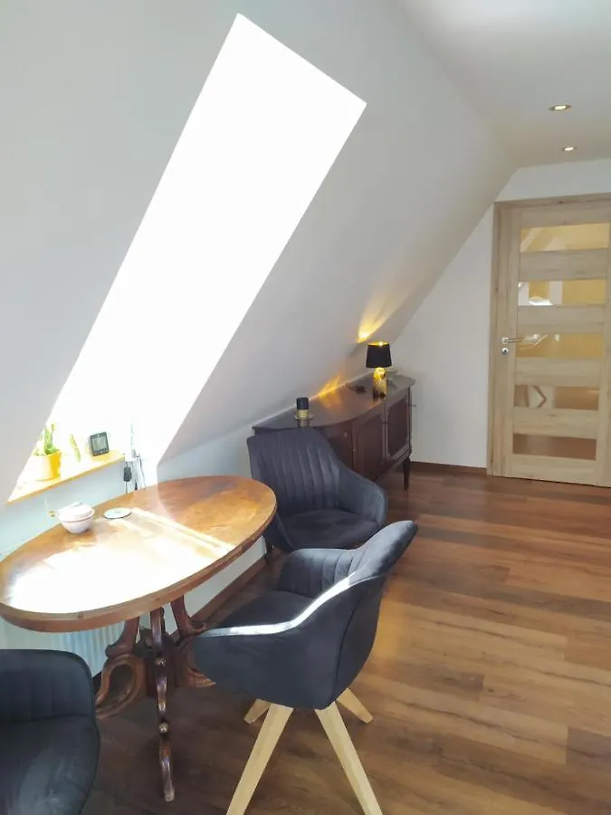 Apartment Apartman Atelier Vary V Nove Zrekonstruovanem Dome Karlovy Vary