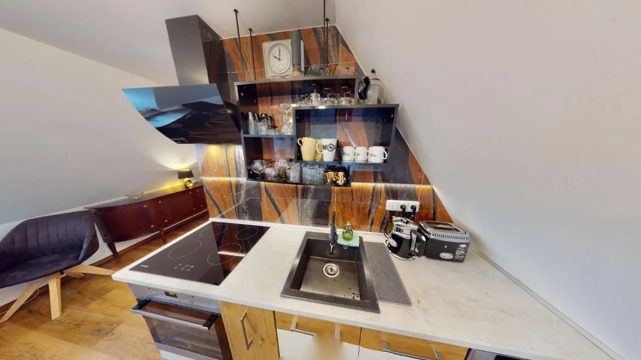 Apartman Atelier Vary V Nove Zrekonstruovanem Dome Karlovy Vary 0*,  Czech Republic